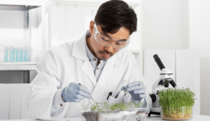 Protein powder authenticity and quality testing, highlighting risks of mislabelled plant and whey protein supplements, amino acid spiking, undeclared blending, and the importance of verified sourcing and transparency.