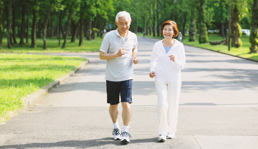 High-protein whole foods including legumes, plant protein sources, and nutrient-dense ingredients representing the role of protein intake in healthy aging, muscle maintenance, metabolism, and long-term health.